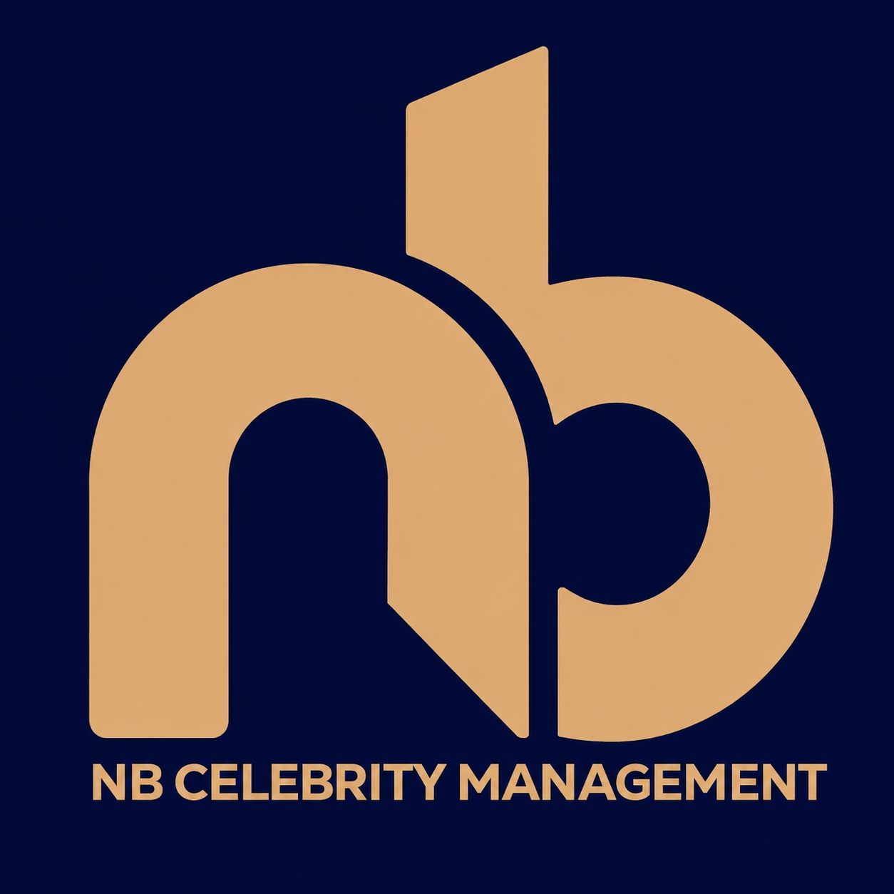 NB Celebrity Management Logo